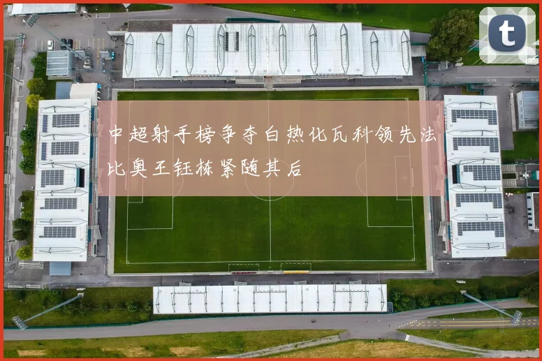 中超射手榜争夺白热化瓦科领先法比奥王钰栋紧随其后