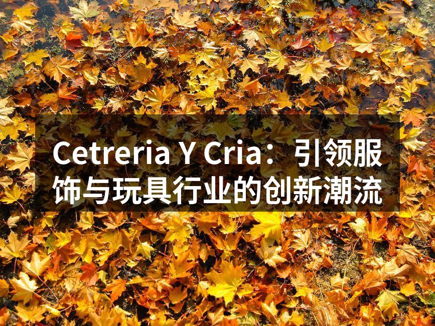 Cetreria Y Cria新款手提包