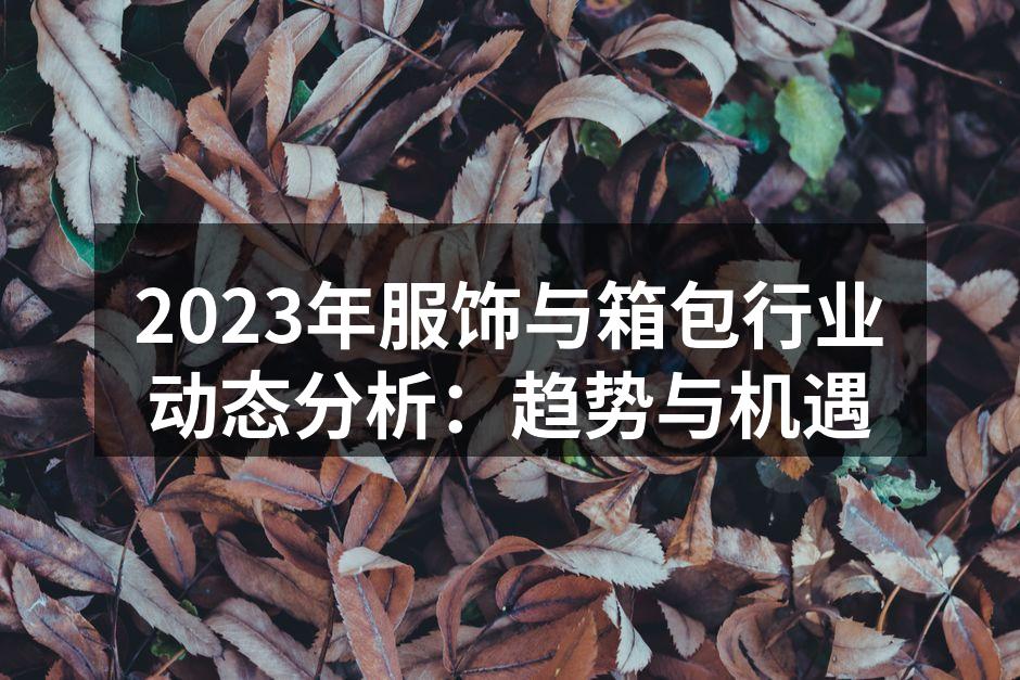 2023年服饰与箱包行业动态分析：趋势与